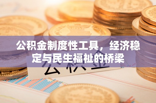 琼结公积金制度性工具，经济稳定与民生福祉的桥梁