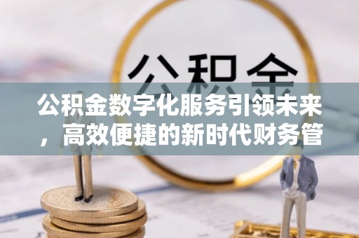 吉阳公积金数字化服务引领未来，高效便捷的新时代财务管理