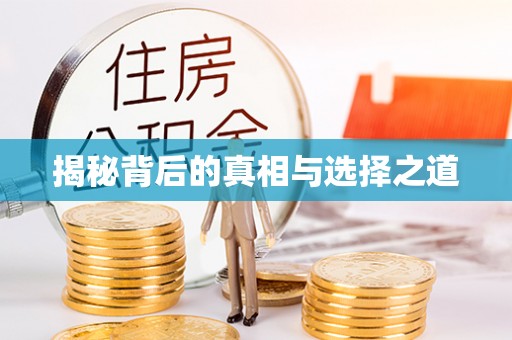 定兴揭秘背后的真相与选择之道