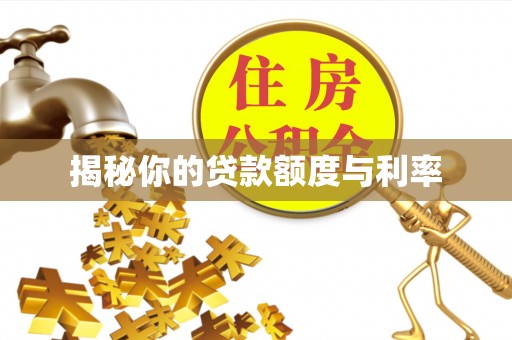 西吉揭秘你的贷款额度与利率