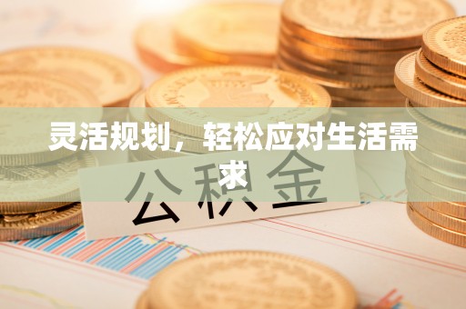 西吉灵活规划，轻松应对生活需求