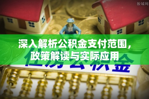 罗平深入解析公积金支付范围，政策解读与实际应用