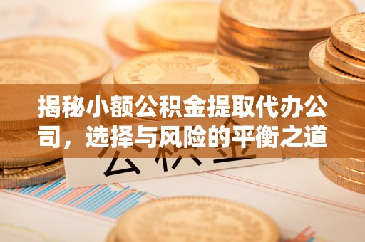 巍山揭秘小额公积金提取代办公司，选择与风险的平衡之道