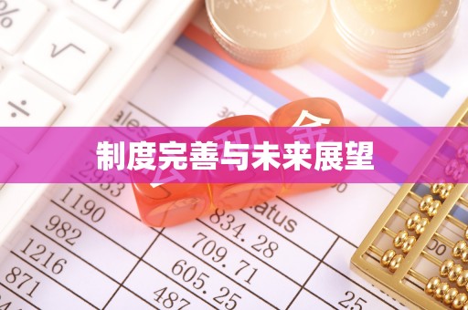 正安制度完善与未来展望