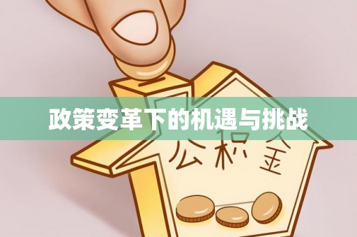 石嘴山政策变革下的机遇与挑战
