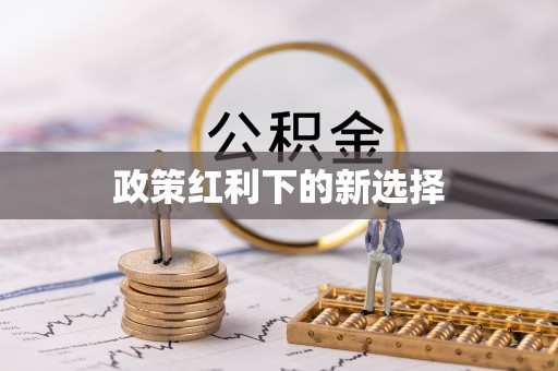 新干政策红利下的新选择