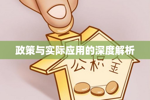南皮政策与实际应用的深度解析