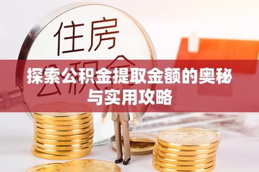 大肚探索公积金提取金额的奥秘与实用攻略