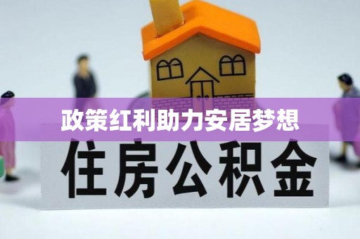 武陵政策红利助力安居梦想