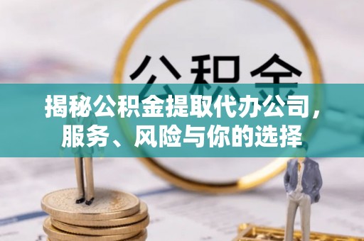 庐山揭秘公积金提取代办公司，服务、风险与你的选择