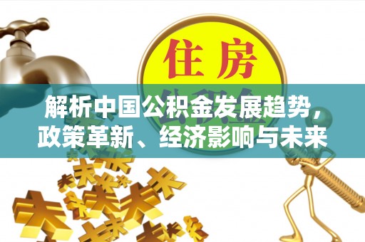 大树解析中国公积金发展趋势，政策革新、经济影响与未来展望