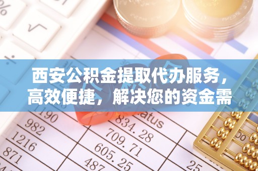 大树西安公积金提取代办服务，高效便捷，解决您的资金需求