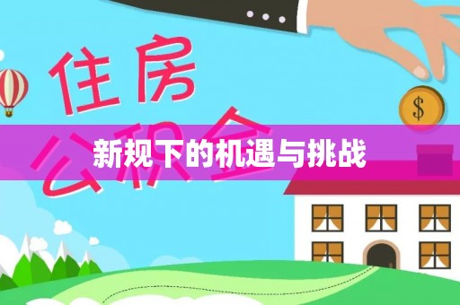 乐山新规下的机遇与挑战