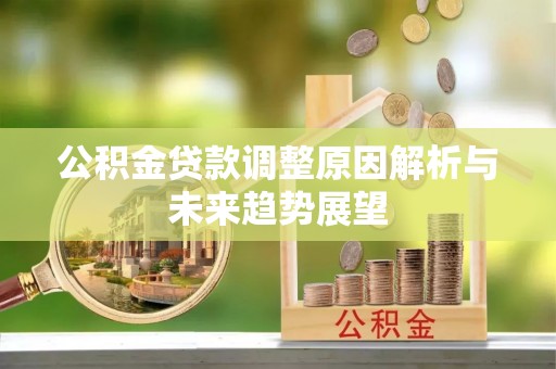 赞皇公积金贷款调整原因解析与未来趋势展望