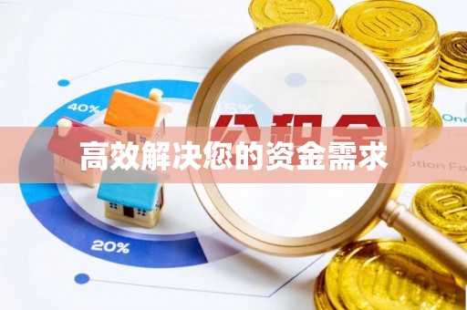 郸城高效解决您的资金需求