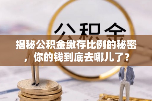 镇沅揭秘公积金缴存比例的秘密，你的钱到底去哪儿了？