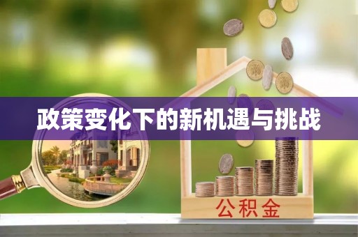 内乡政策变化下的新机遇与挑战
