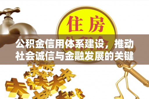 蚌山公积金信用体系建设，推动社会诚信与金融发展的关键桥梁